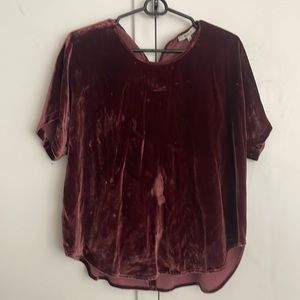 Velvet t shirt